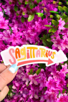 Zodiac Sticker - Lifestyle - Pixelated Boutique, online shopping, virginia beach boutique, clothing store, boho, modern bohemian, cute aesthetic store