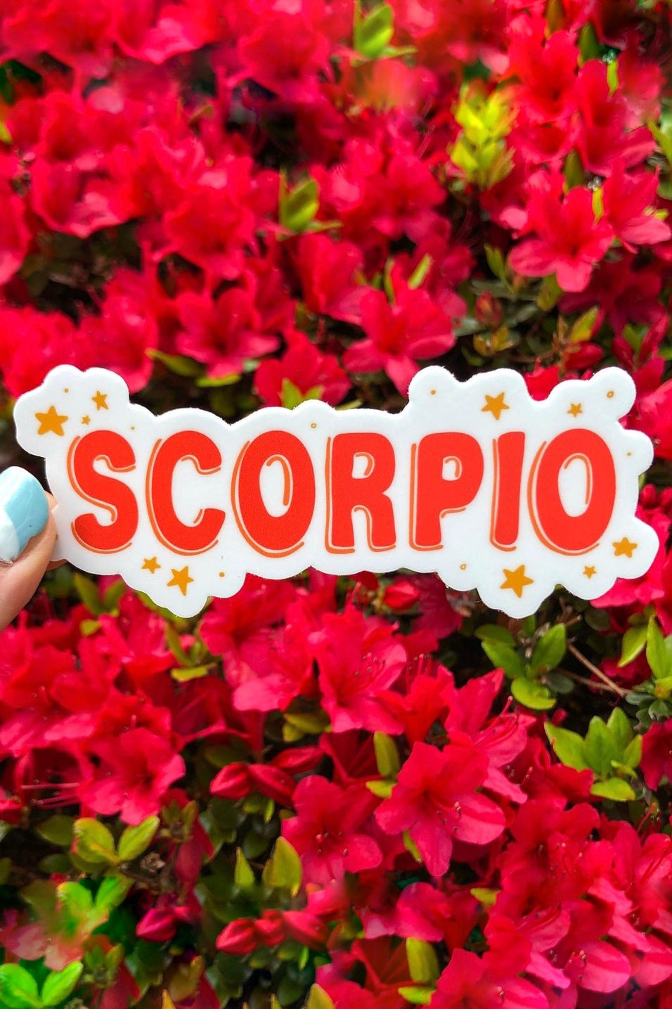Zodiac Sticker - Lifestyle - Pixelated Boutique, online shopping, virginia beach boutique, clothing store, boho, modern bohemian, cute aesthetic store