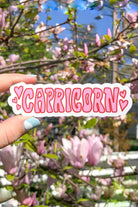 Zodiac Sticker, Lifestyle, Pixelated Boutique, Women's Clothing, Women's Jewelry and Gifts, Online Shopping for Women, Virginia Beach Clothing Stores, Clothing Stores in Virginia Beach, Aesthetic Fashion Trends, East Coast Fashion Styles, Spring Fashion, Sustainable Women's Clothing, Unique Gift Ideas for Women, Spring Fashion, Spring Outfit Ideas, Spring Fashion Inspiration, Womens Style